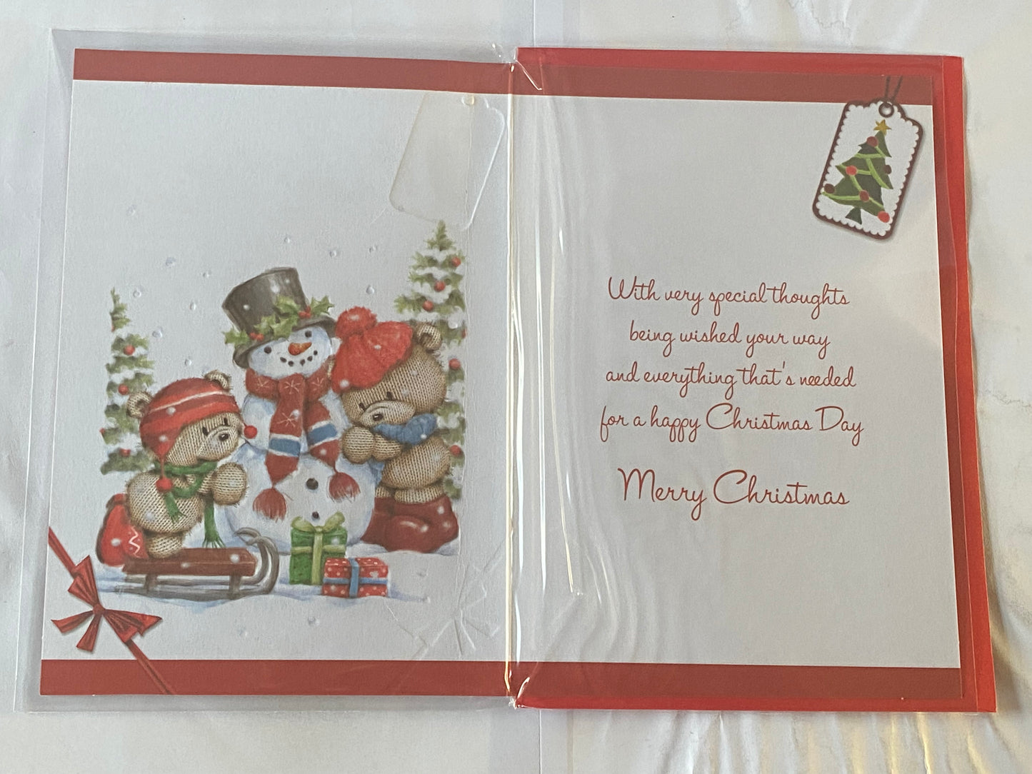 Happy Christmas To A Special Sister & Partner Christmas Card Red/White-Teddies/Snowman(SXC50-1022B)