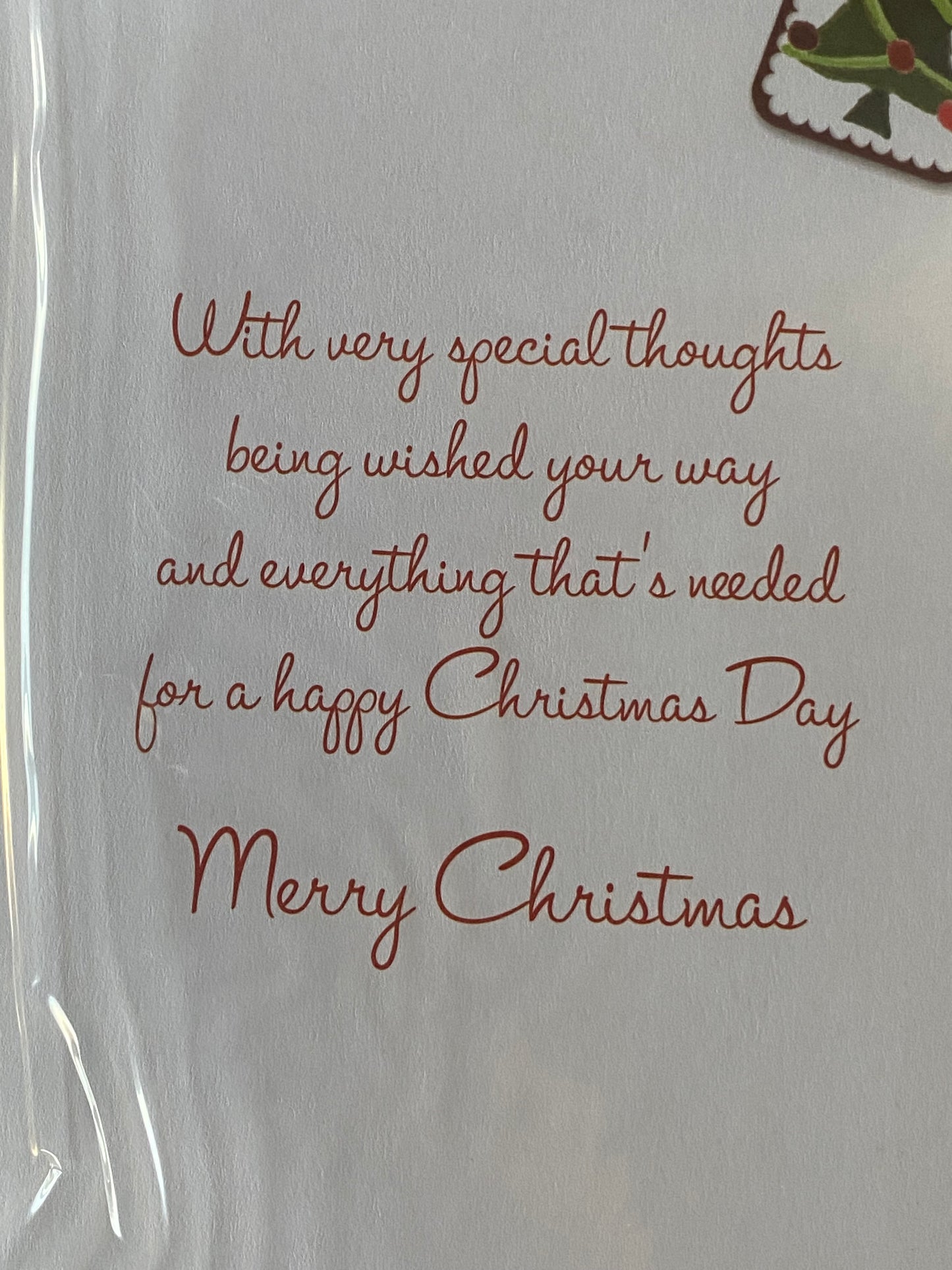 Happy Christmas To A Special Sister & Partner Christmas Card Red/White-Teddies/Snowman(SXC50-1022B)