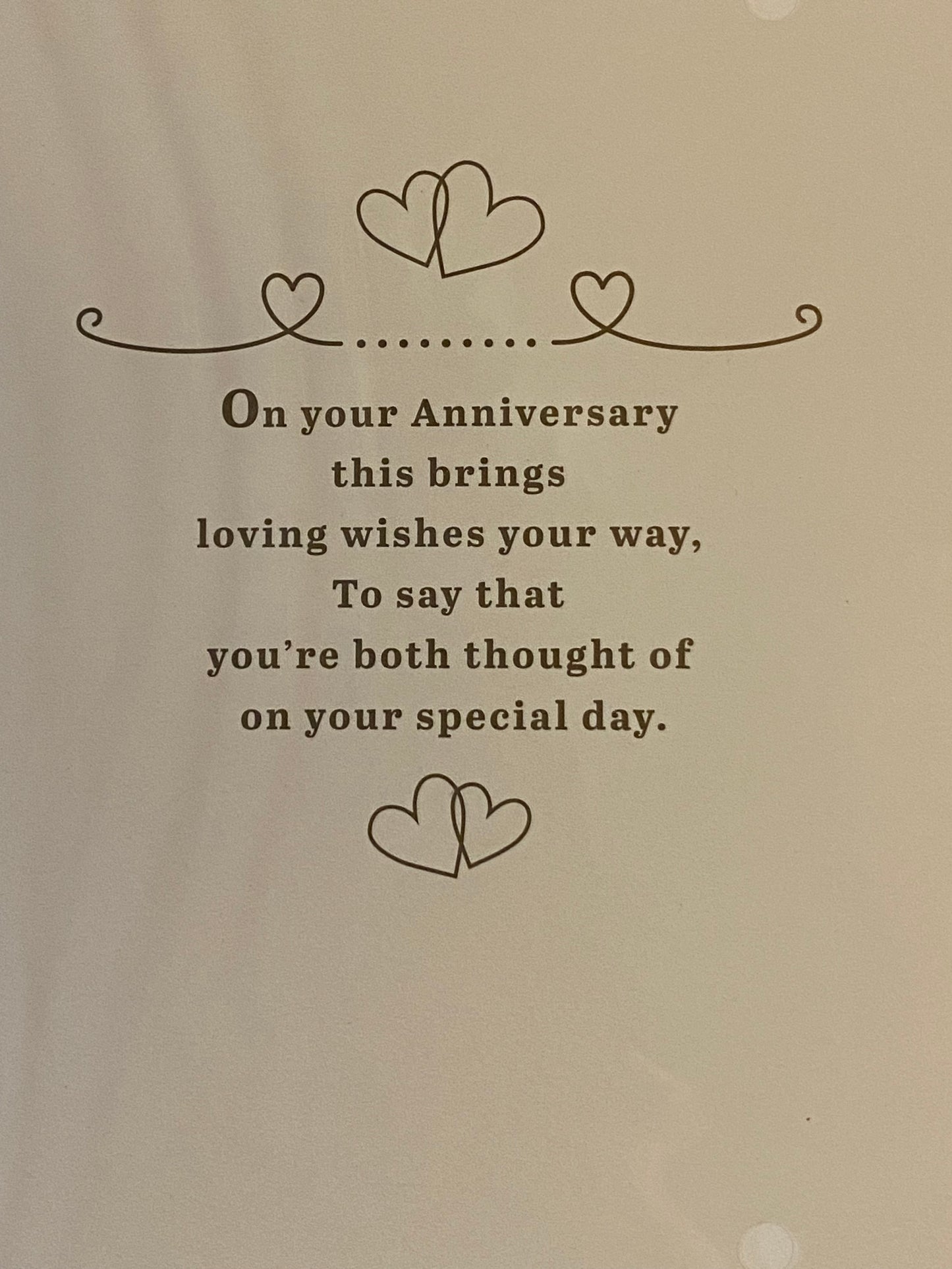 To A Special Sister & Brother-In-Law On Your Anniversary Love And Happiness Wedding Anniversary Card Teddies/Gold Words Foil Detail(PH49595B)