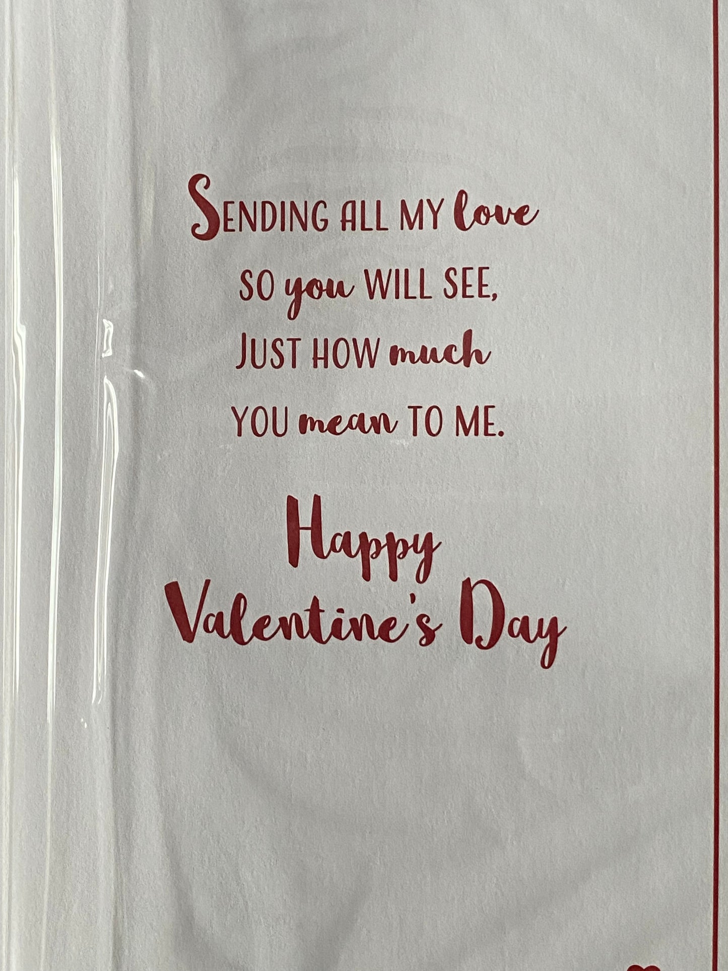 To The Amazing Man In My Life Happy Valentine's Day Valentines Day Card Present/Heart Balloons/Words 3D/Foil Detail(PRELUDE46681)