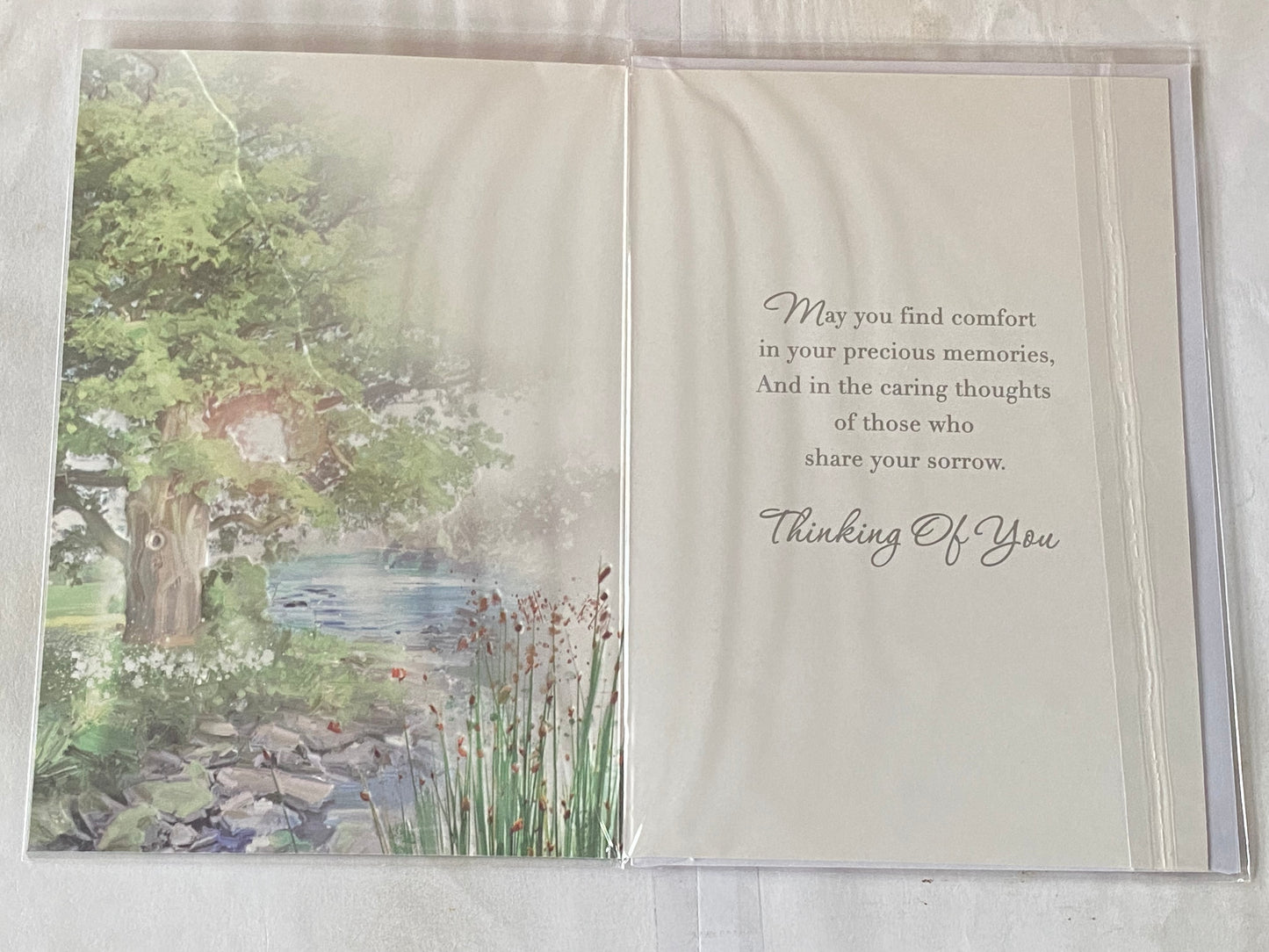 On The Loss of Your Brother Sympathy Card Condolence Water Scene/Tree Foil Detail(NC-VA223E)