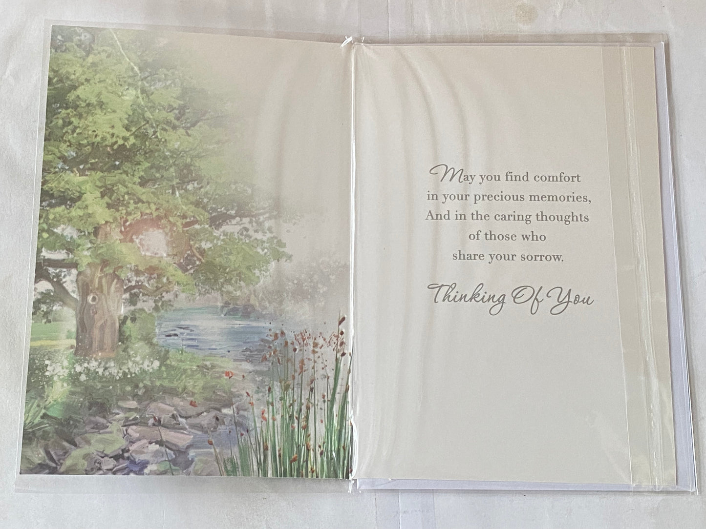 On The Loss of Your Dad Sympathy Card Condolence Water Scene/Tree Foil Detail(NC-VA223E)