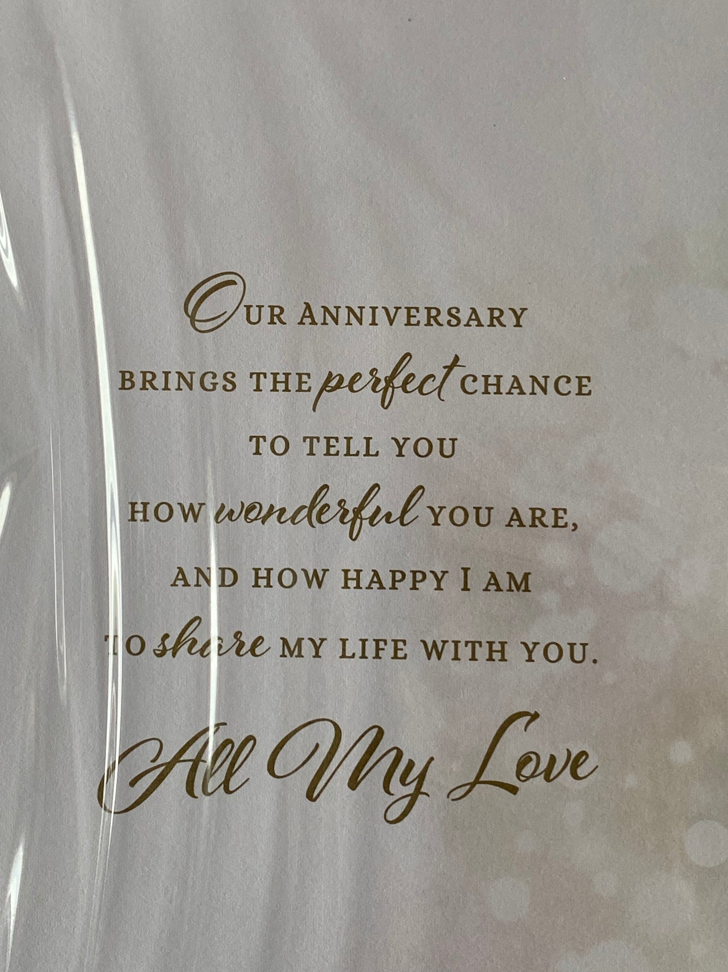 Happy Anniversary To My Wonderful Husband Our Wedding Anniversary Card Bride+Groom/Words Ribbon/Glitter/Foil Detail(PRELUDE45562)