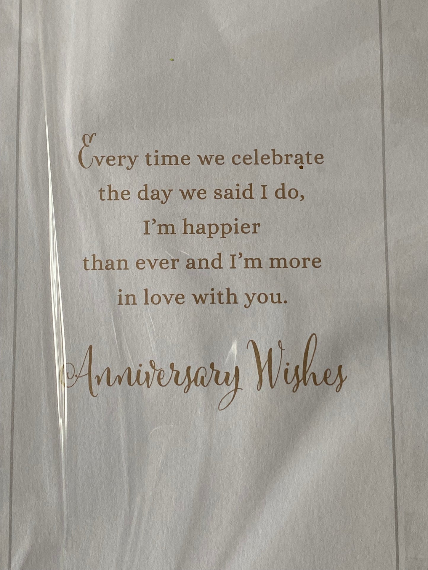 For My Husband Time To Celebrate With All My Love On Our Anniversary Wedding Anniversary Card Champagne/Words(XQUISITE46009)