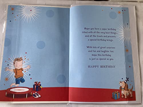 For A Special Grandson 5 It's Your Birthday Card With Badge 5th Five Fifth Cute Boy/Trampoline/Dog Foil Detail(CC7522B/01)