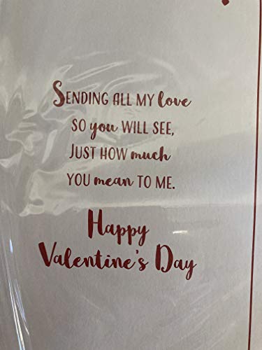 To The Amazing Woman In My Life Happy Valentine's Day Valentines Day Card Present/Heart Balloons/Words 3D/Foil Detail (PRELUDE46681)