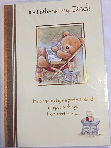 It's Father's Day Dad! Fathers Day Card Teddy Relaxing/Red Deck Chair/Newspaper Foil Detail(SS31116A)