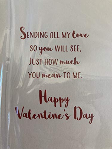 With Love to My Fiancee Happy Valentine's Day Valentines Day Card Present/Heart Balloons/Words 3D/Foil Detail (PRELUDE46681)