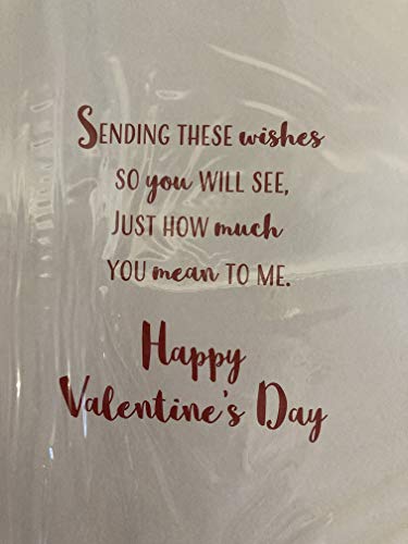 To Someone Special Happy Valentine's Day Valentines Day Card Present/Heart Balloons/Words 3D/Foil Detail (PRELUDE46681)