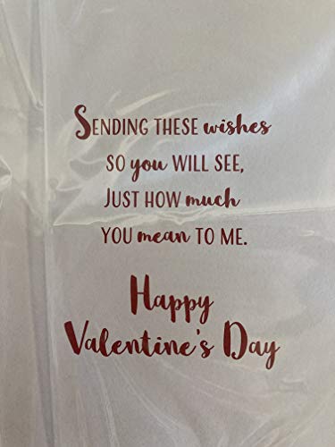 to My Girlfriend Happy Valentine's Day Valentines Day Card Present/Heart Balloons/Words 3D/Foil Detail (PRELUDE46681)