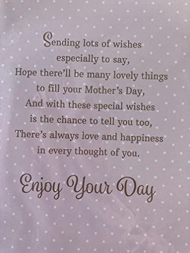 To A Lovely Aunt Happy Mother's Day Enjoy Your Day Mothers Day Card Pink-Gold Teddy/Watering Can 3D/Glitter/Foil Detail(PRELUDE47686)