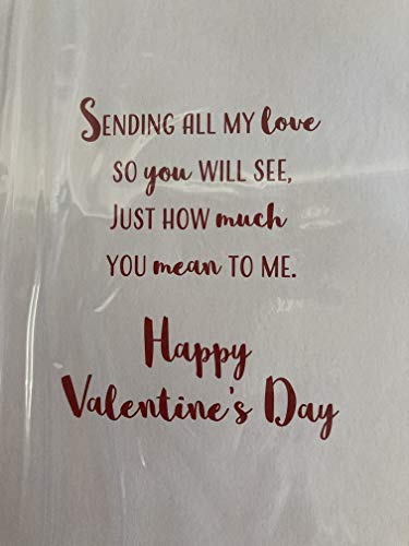 With Love to My Wife Happy Valentine's Day Valentines Day Card Present/Heart Balloons/Words 3D/Foil Detail (PRELUDE46681)