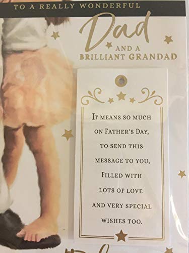 To A Really Wonderful Dad And A Brilliant Grandad With Love Father's Day Fathers Day Card Man/Girl/Words 3D/Foil Detail(PRELUDE43563)