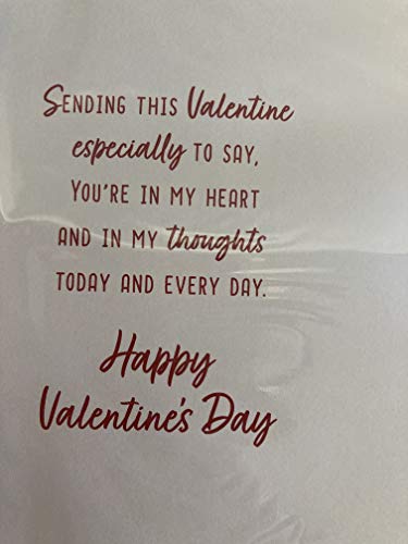 To Someone Special On Valentine's Day Valentines Day Card Teddies/Red Hearts/Red Roses 3D/Foil Detail(PRELUDE46678)