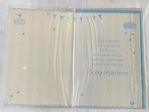 Congratulations On The Birth Of Your Precious Baby Brother New Baby Boy Born Card Blue/Green/Silver/Yellow Words/Stripes/Bunting Glitter/Foil Detail(PH41080E)