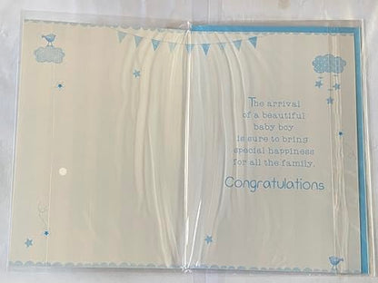 Congratulations On The Birth Of Your Precious Baby Brother New Baby Boy Born Card Blue/Green/Silver/Yellow Words/Stripes/Bunting Glitter/Foil Detail(PH41080E)