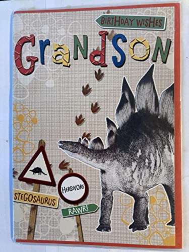 Birthday Wishes Grandson Birthday Card Stegosaurus Dinosaur Foil Detail(HSI118HS)