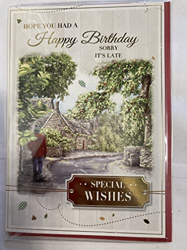 Mens Male Hope You Had A Happy Birthday Sorry It's Late Special Wishes Belated Birthday Card Man Walking/Red Jacket Foil Detail(PH41054A)