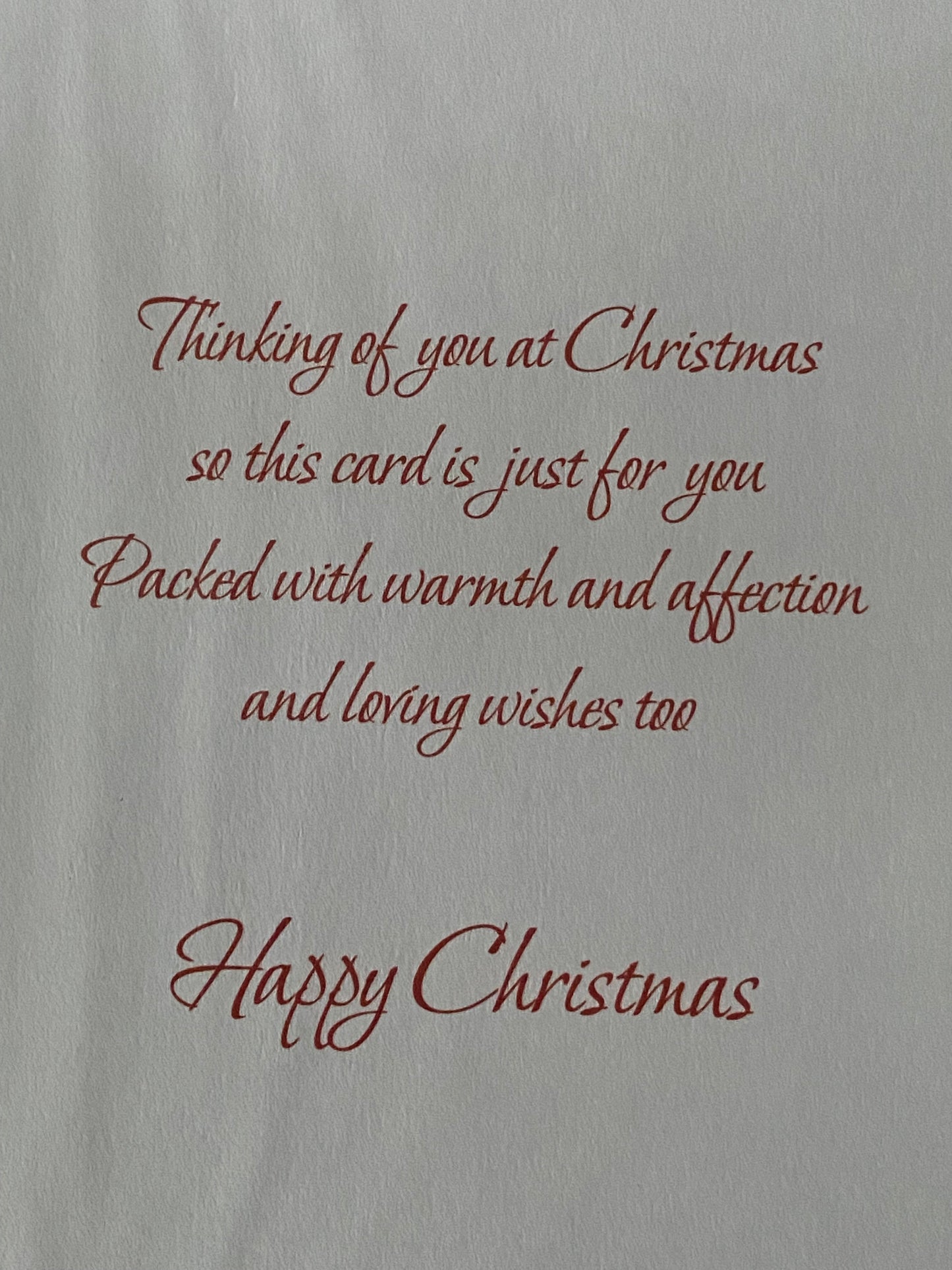 Christmas Wishes To A Special Sister & Brother-In-Law Christmas Card Couple/Tree/Sledge Glitter Detail(SXC50-996B)