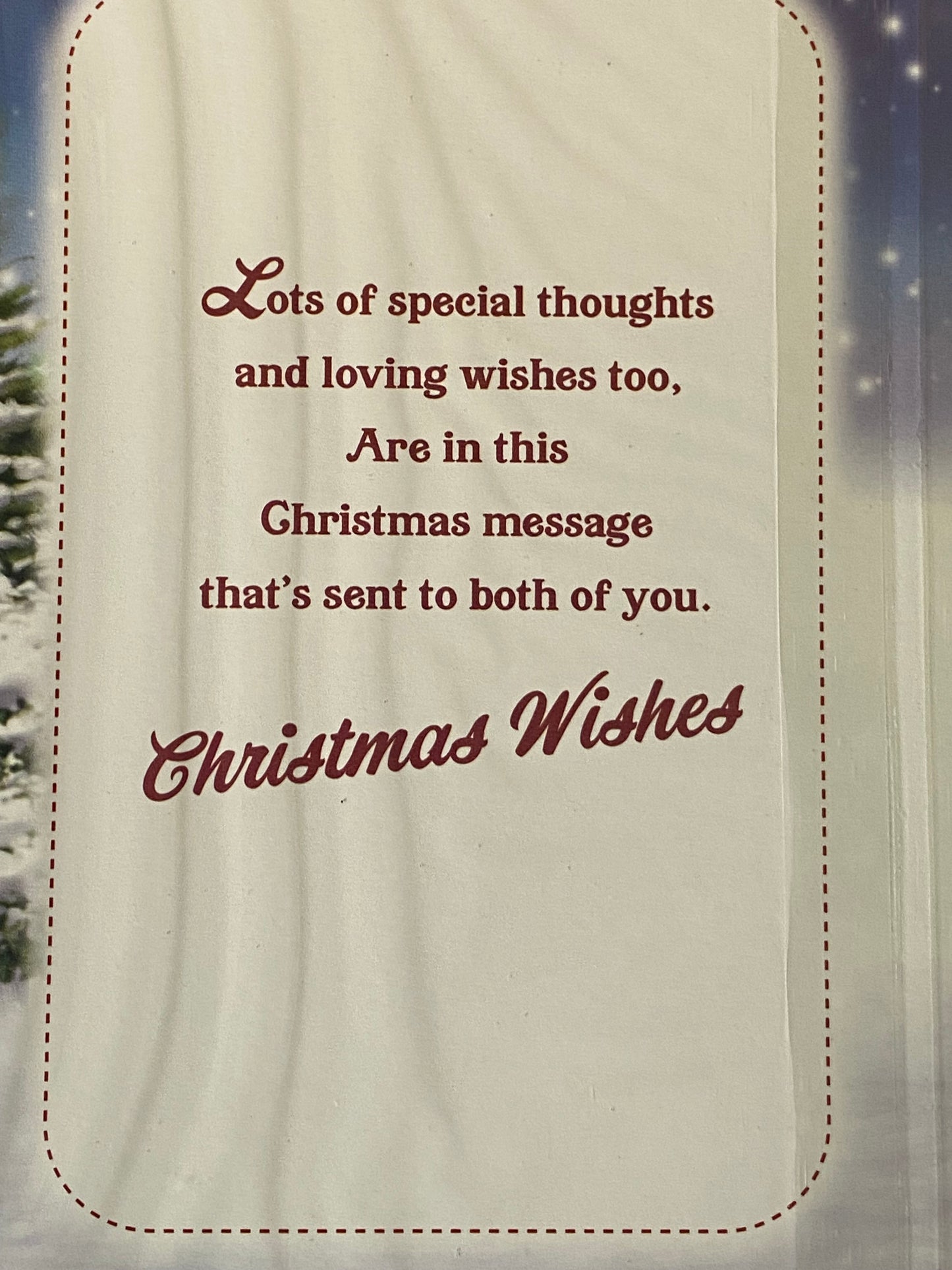 Christmas Wishes To A Special Auntie & Uncle Christmas Card Teddies/Hot Chocolates/Bench(PH48360B)