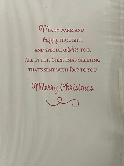 To A Wonderful Sister & Family Christmas Card Houses/People/Red Words(PH46334A)