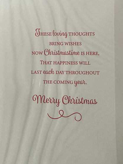 To A Special Sister & Family At Christmastime Christmas Card Houses/People/Van/Red Words(PH46334B)