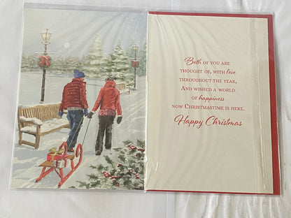 For A Wonderful Sister & Husband At Christmastime Christmas Card Couple Pulling Sledge/Bench(NC-VX010A)