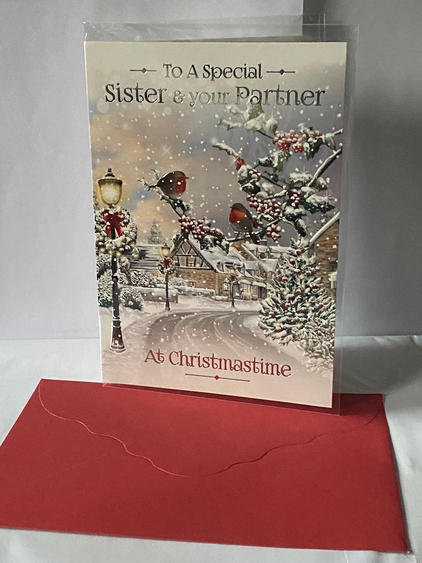 To A Special Sister & Your Partner At Christmastime Christmas Card Winter Scene/Robins/Silver Words Foil Detail(VX125A)