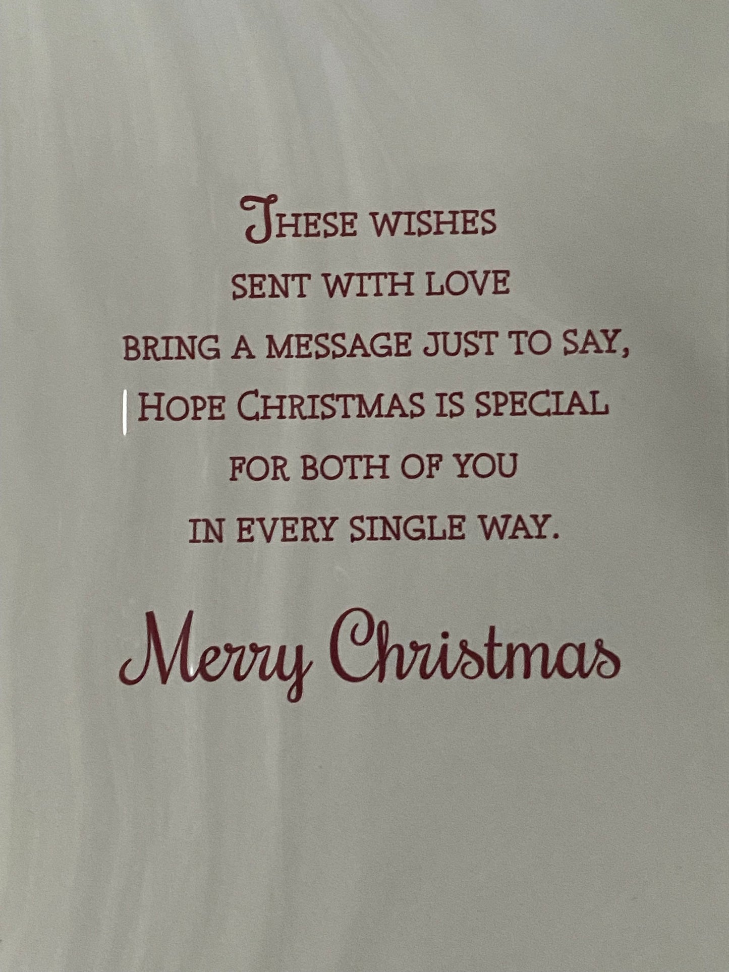 To A Special Sister & And Partner With Christmas Wishes Christmas Card Teddies/Bench Foil Detail(NC-VX140A)