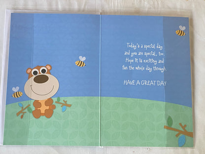 Happy Birthday Grandson Birthday Card Cute Bear/Bees Foil Detail(SL50006AE)