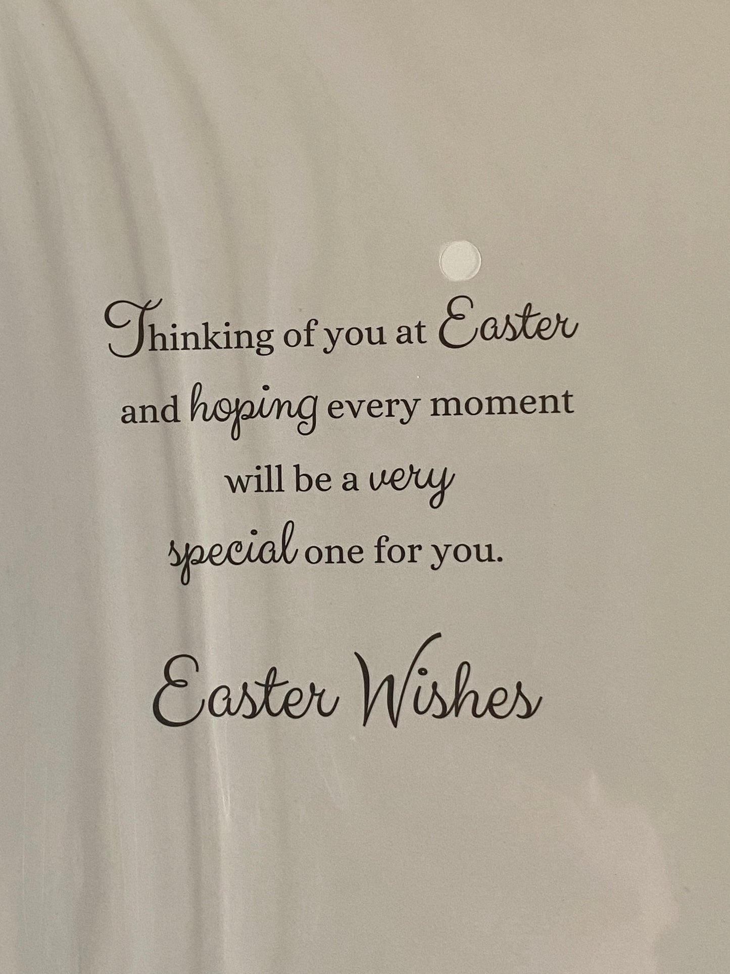 Wishing You A Happy Easter Card Open General Teddy Holding Daffodils/Gold Words Foil Detail(PH45740E)