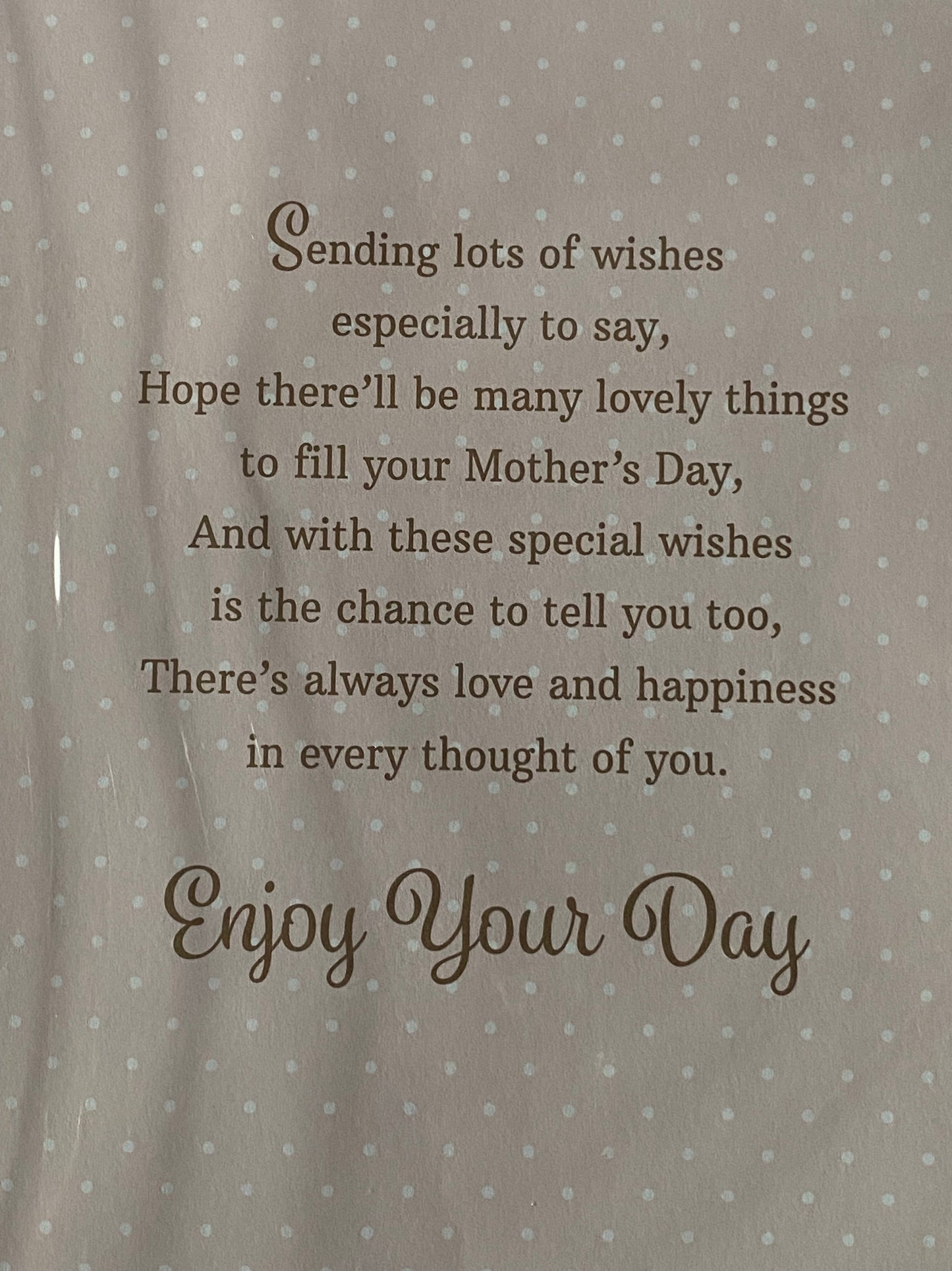 To A Lovely Gran Happy Mother's Day Enjoy Your Day Mothers Day Card Pink-Gold Teddy/Watering Can 3D/Glitter/Foil Detail(PRELUDE47686)