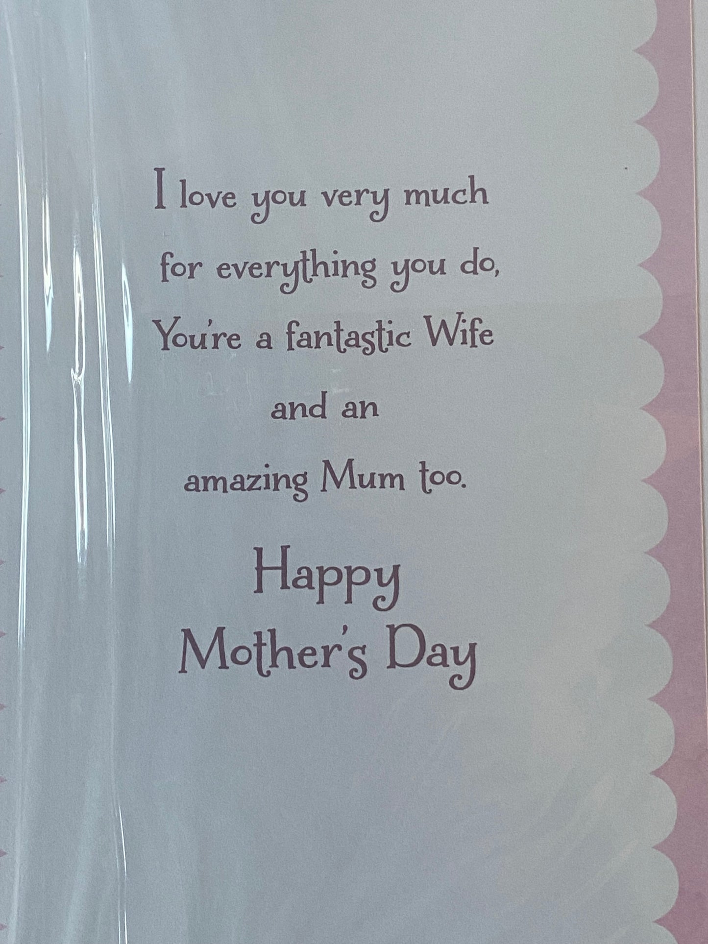 With Lots Of Love To My Wife Mother's Day Mothers Day Card Teddy/Flowers/Butterflies/Jar Ribbon/Foil Detail(PRELUDE47674)