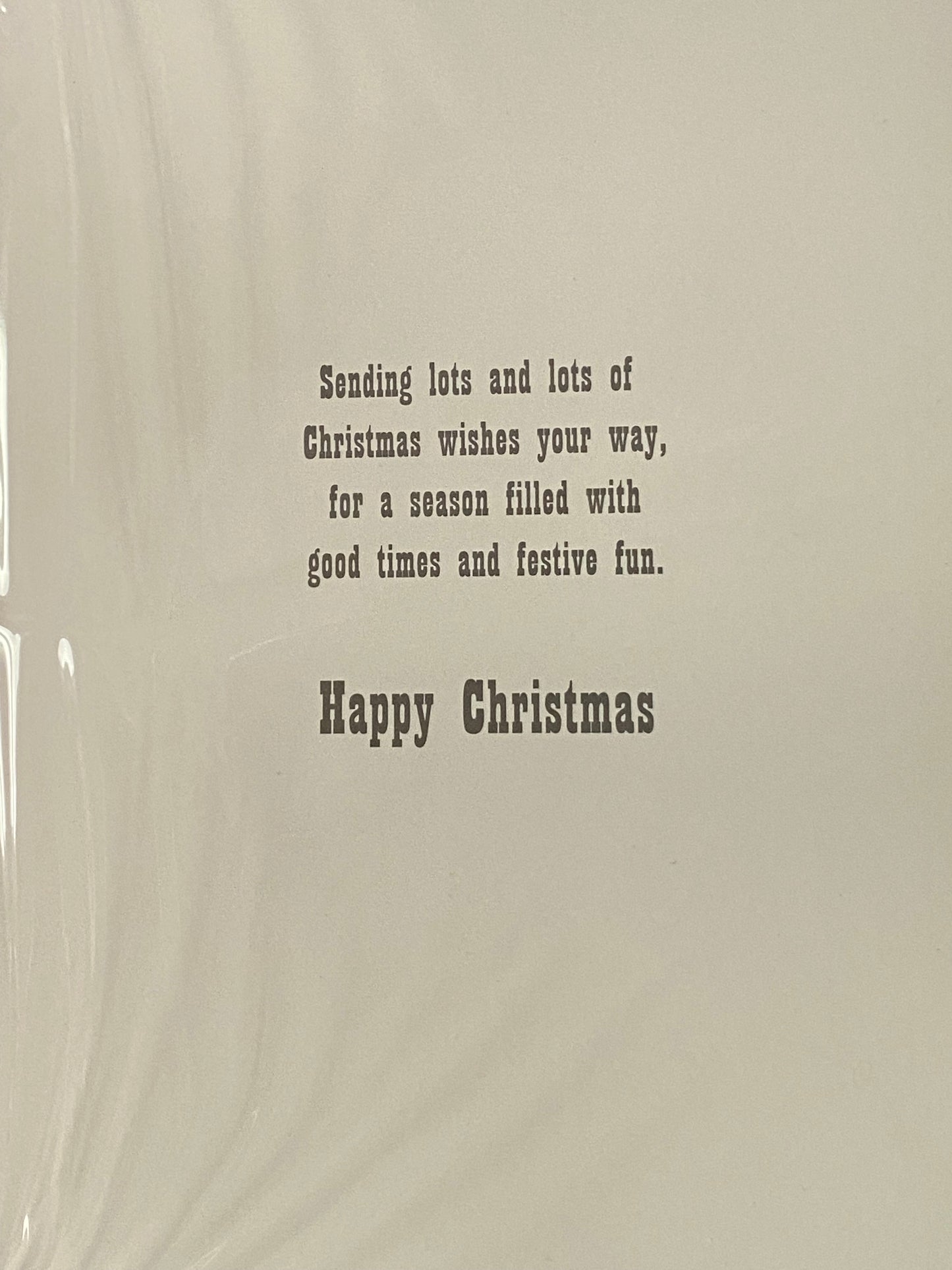 A Little Festive Message For Friends We Don't Forget Christmas Card Blue/White-Teddies/Postbox(HSX2517B)