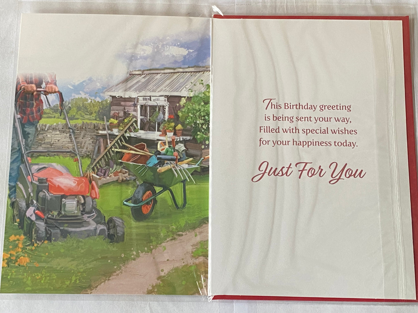 Mens Male Age 80 80th Eighty Eightieth Happy 80th Birthday Enjoy Your Day Birthday Card Gardening/Lawnmower/Wheelbarrow/Shed Foil Detail(NC-VA271A)