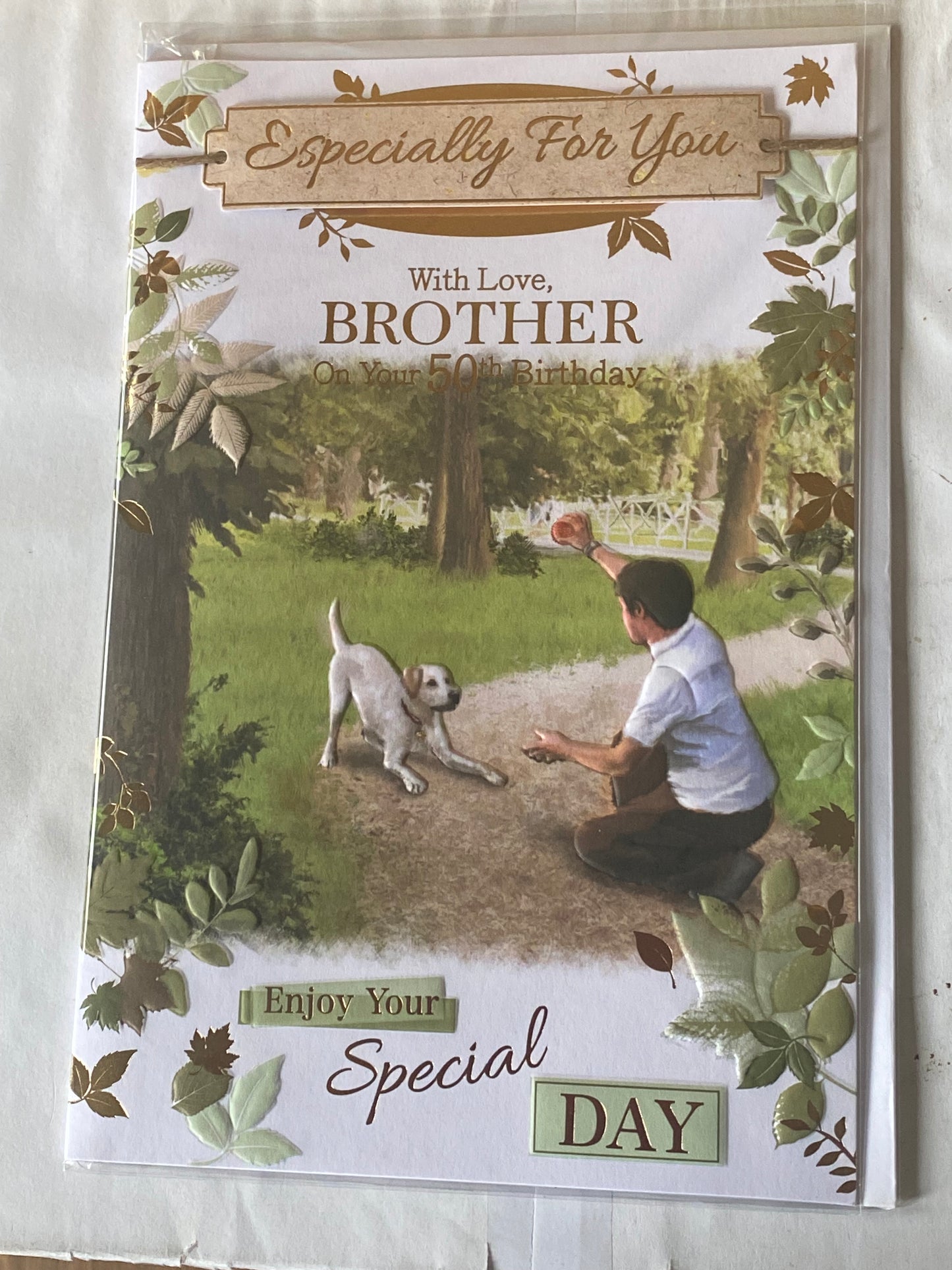 Especially For You With Love,Brother on On Your 50th Birthday Enjoy Your Special Day Birthday Card Age 50 Fifty Man/Dog/Ball Design 3D/Foil Detail(PRELUDE41331)