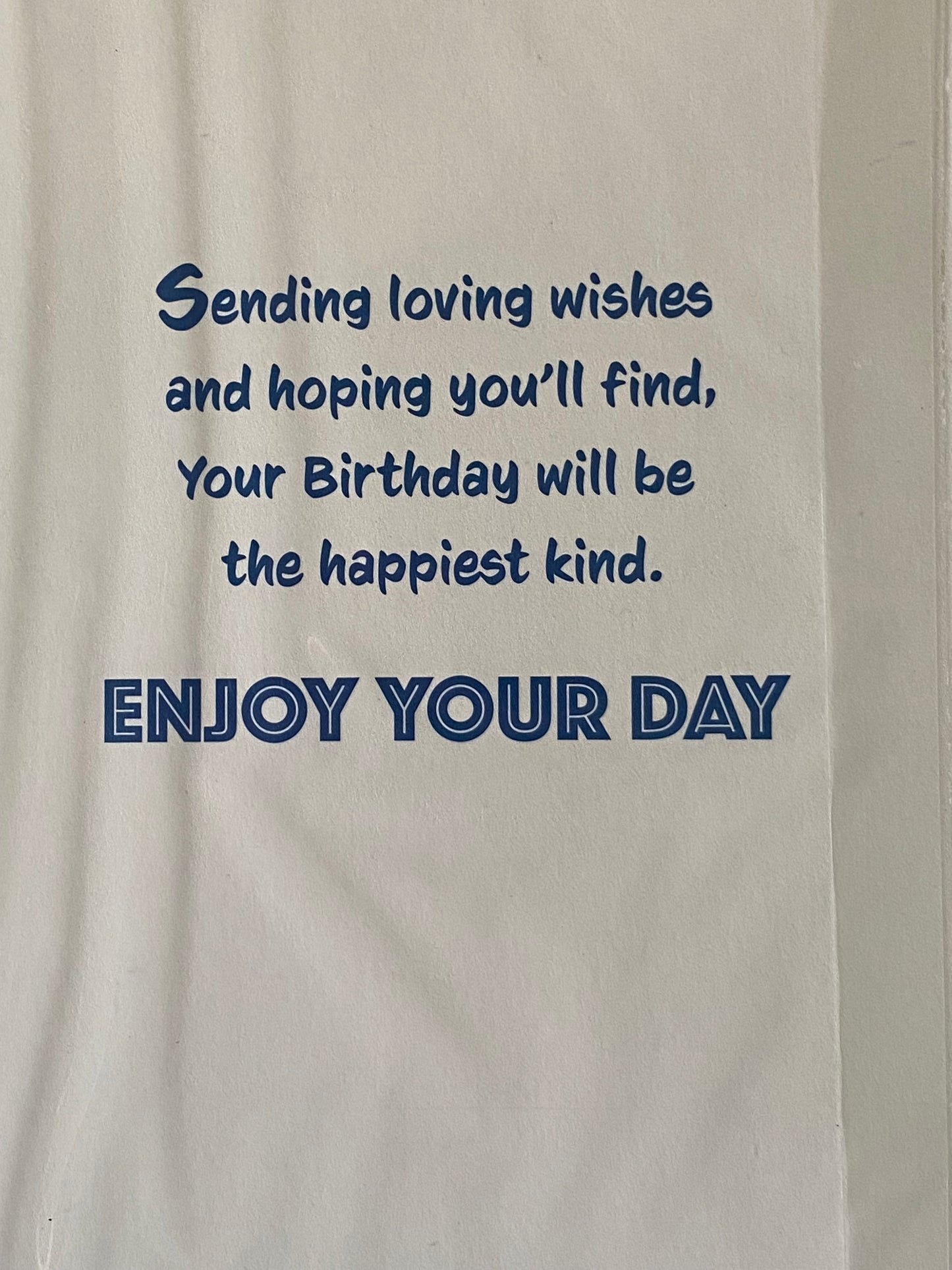 Happy Birthday Brother Birthday Card Young Man Gamer Foil Detail(NC-VA133E)