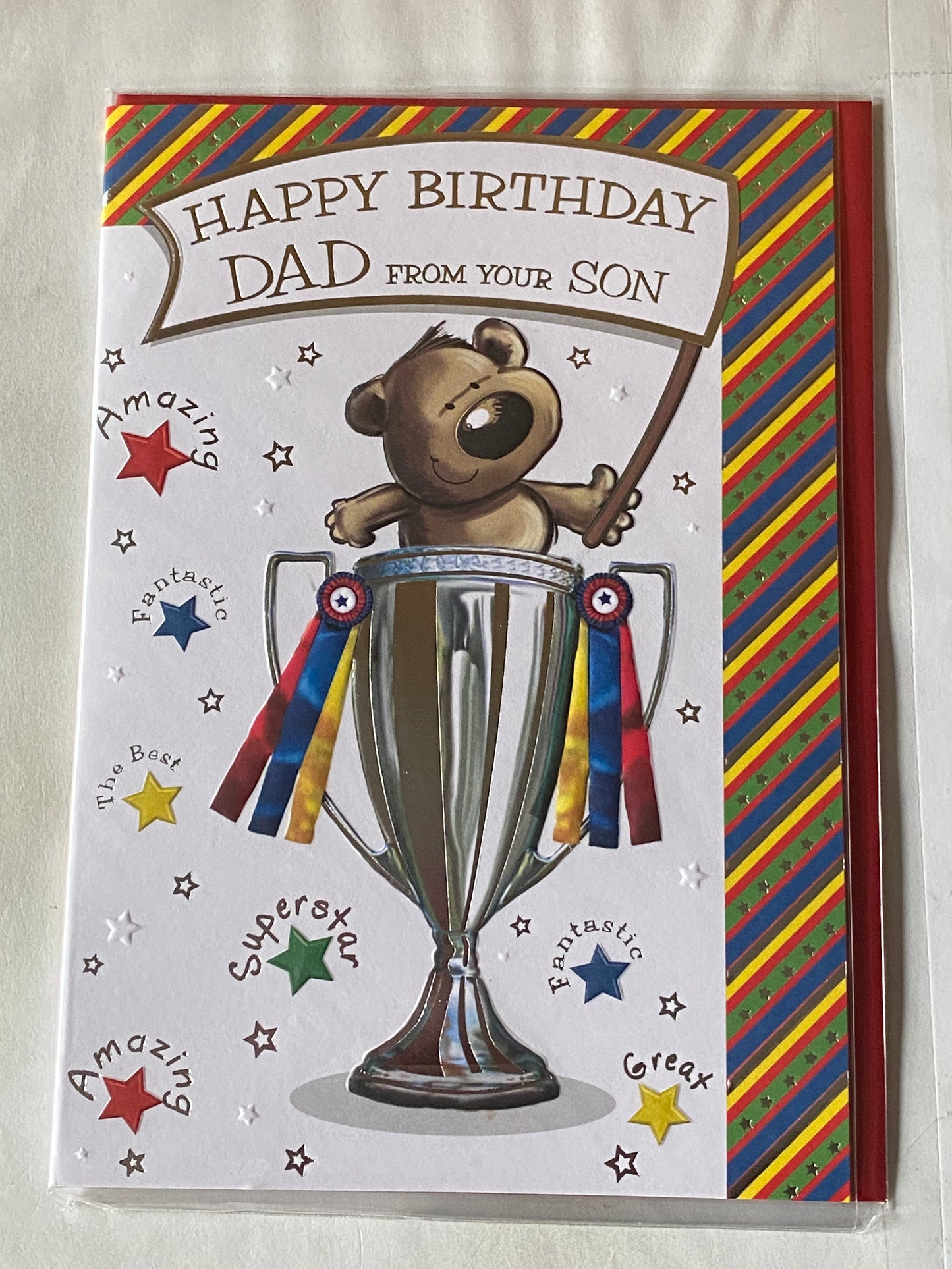 Happy Birthday Dad From Your Son Birthday Card Teddy/Trophy Cup Foil Detail(KI33177)