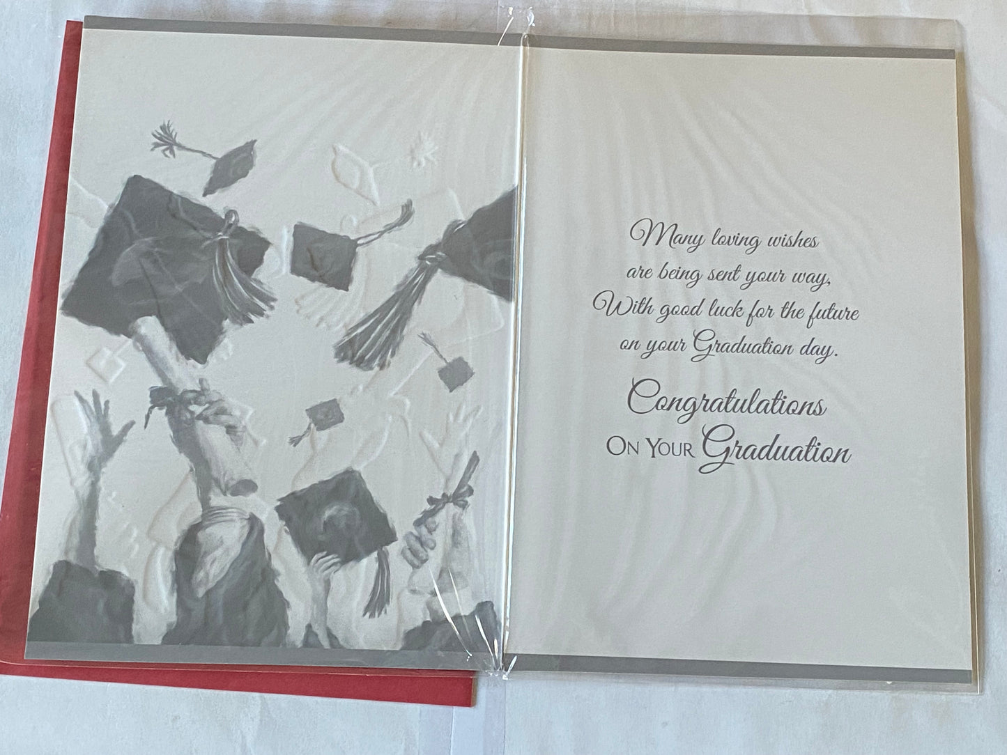 Congratulations To A Wonderful Daughter On Your Graduation Card Congratulations Graduated Well Done Graduates/Hats/Scrolls Foil Detail(PH39798A)