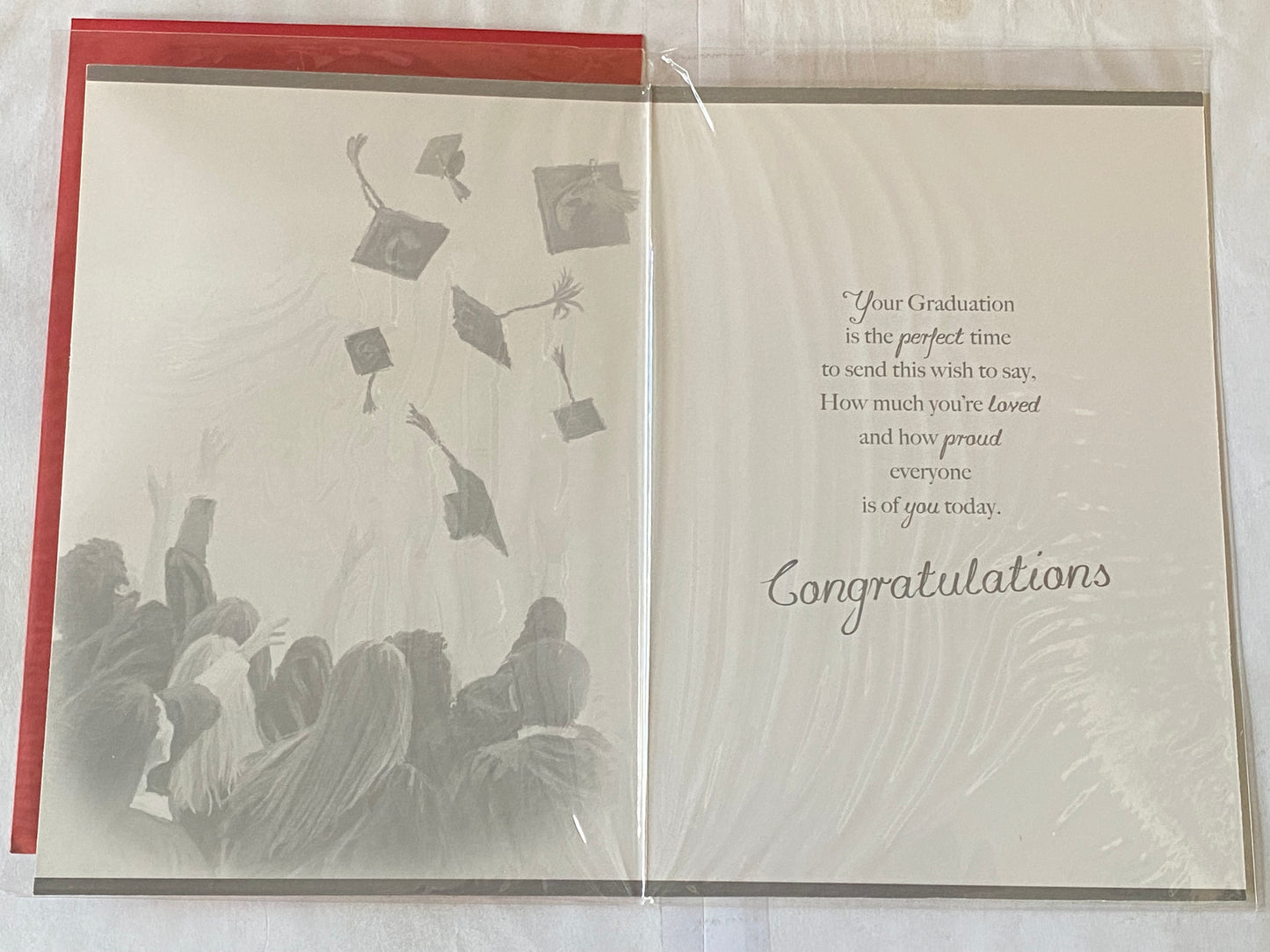 To A Special Granddaughter On Your Graduation Card Graduated Congratulations Well Done Graduates Throwing Hats/Silver Words Foil Detail(PH41557E)