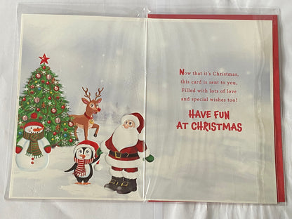 Happy Christmas To A Special Brother Christmas Card Santa+Friends/Tree(PH46361A)