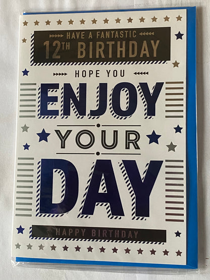 Boys Male Age 12 12th Twelve Twelfth Have A Fantastic 12th Birthday Hope You Enjoy Your Day Happy Birthday Card White/Silver/Blue/Black Words/Stars Foil Detail(PH47340A)