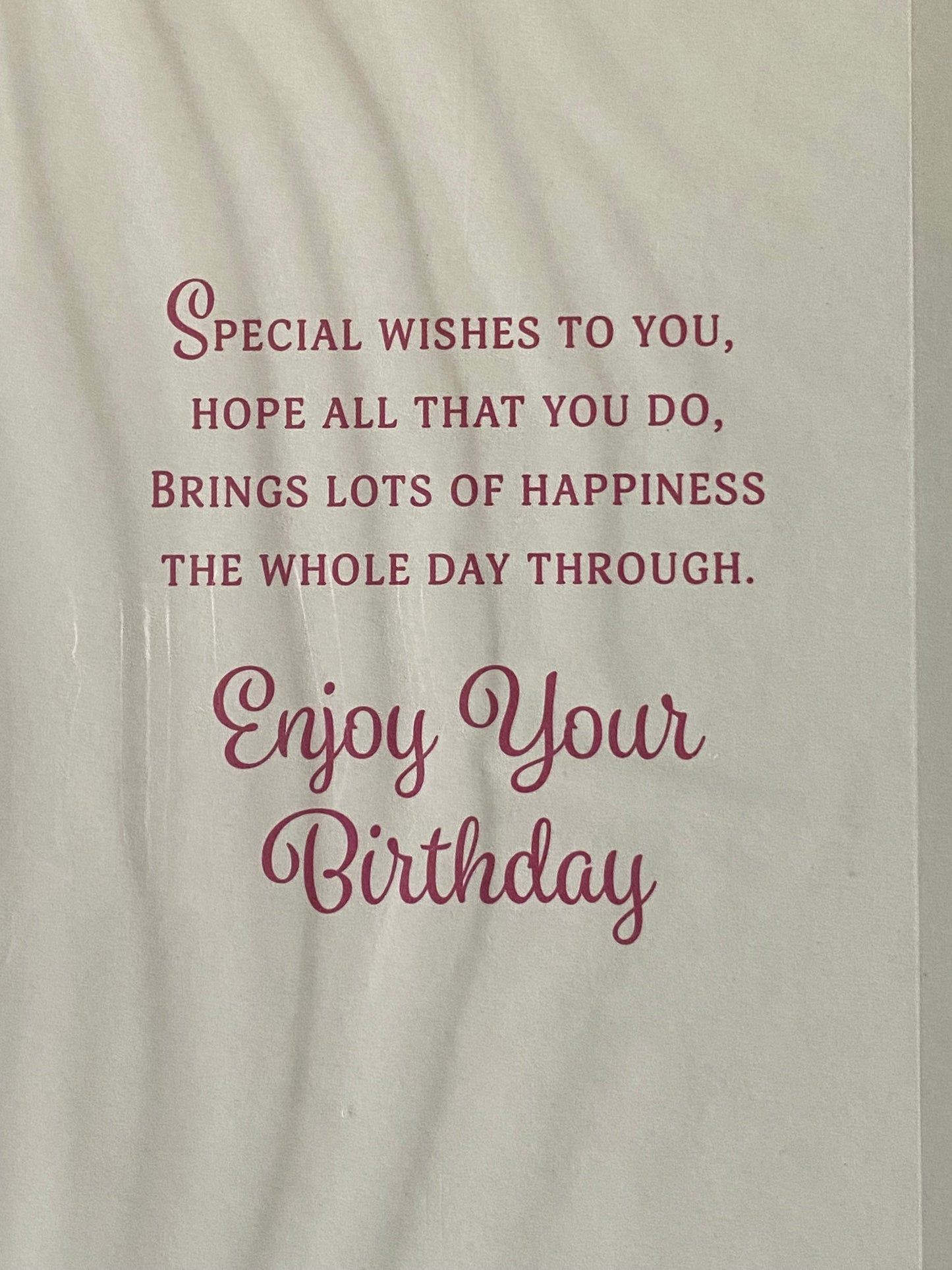 Girls Female Age 15 15th Fifteen Fifteenth 15 Today Happy Birthday To You Birthday Card Multi Flowers/Words/Purple Stripes Foil Detail(VA183A