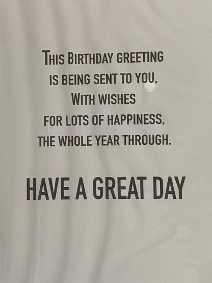 Boys Male Age 13 13th Thirteen Thirteenth Have A Fantastic 13th Birthday Hope You Enjoy Your Day Happy Birthday Card White/Silver/Blue/Black Words/Stars Foil Detail(PH47340A)