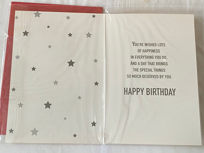 Boys Male Age 13 13th Thirteen Thirteenth Enjoy Your 13th Birthday Have The Best Day Ever Happy Birthday Card White/Silver/Red/Black Words/Stars Foil Detail(PH47340E)