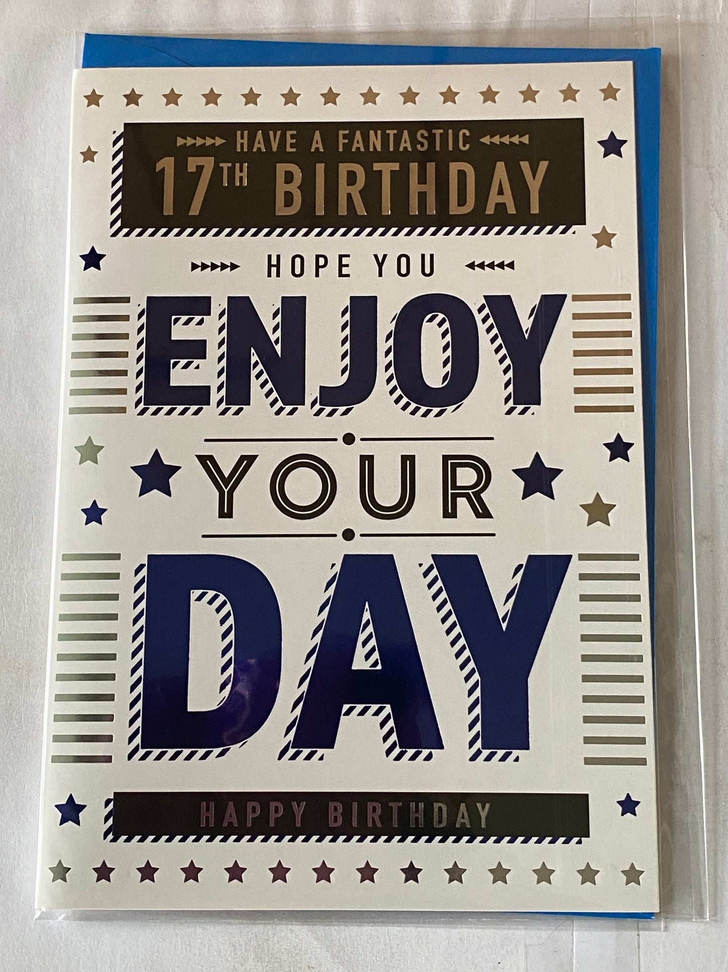 Boys Male Age 17 17th Seventeen Seventeenth Have A Fantastic 17th Birthday Hope You Enjoy Your Day Happy Birthday Card White/Silver/Blue/Black Words/Stars Foil Detail(PH47340A)