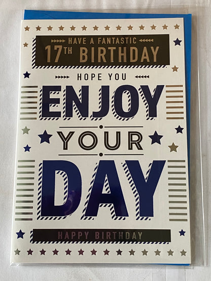 Boys Male Age 17 17th Seventeen Seventeenth Have A Fantastic 17th Birthday Hope You Enjoy Your Day Happy Birthday Card White/Silver/Blue/Black Words/Stars Foil Detail(PH47340A)