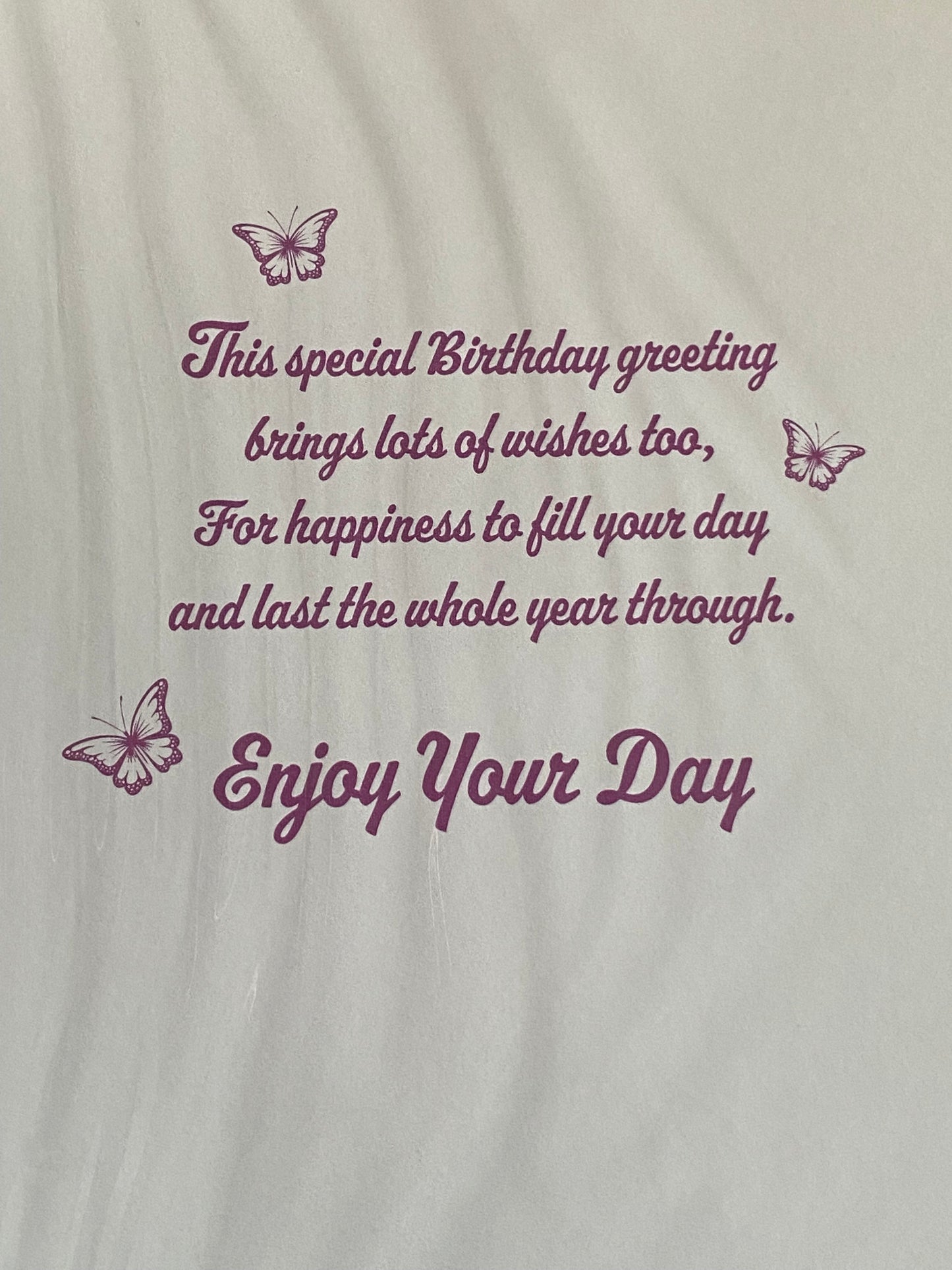 Girls Female Age 17 17th Seventeen Seventeenth Wishing You A Happy 17th Birthday Card Purple/Pink Butterflies/Silver Words Foil Detail(PH48384A)