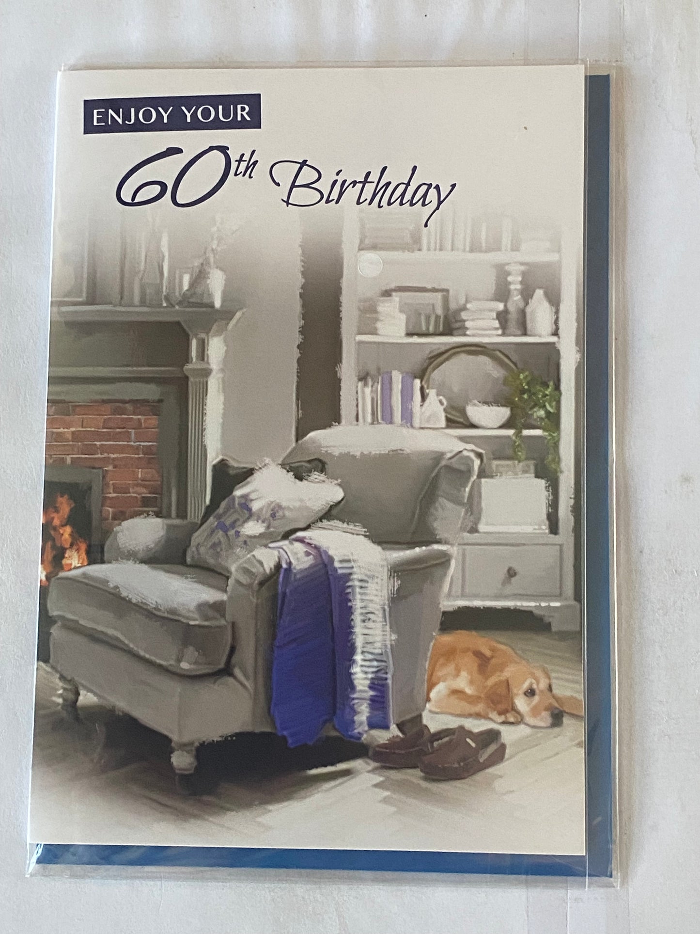 Mens Male Age 60 60th Sixty Sixtieth Enjoy Your 60th Birthday Card Grey Chair/Fireplace/Dog Foil Detail(NC-VA081E)