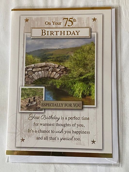 Mens Male Age 75 75th Seventy-Five Seventy-Fifth On Your 75th Birthday Especially For You Birthday Card Countryside/Stone Bridge/Gold Words Foil Detail(PH41056E)